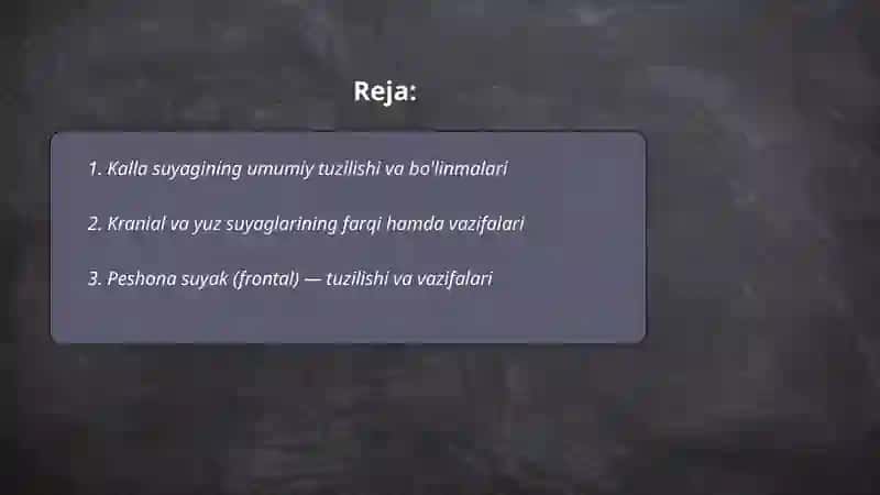 Kalla suyaklari va uning vazifalari 2