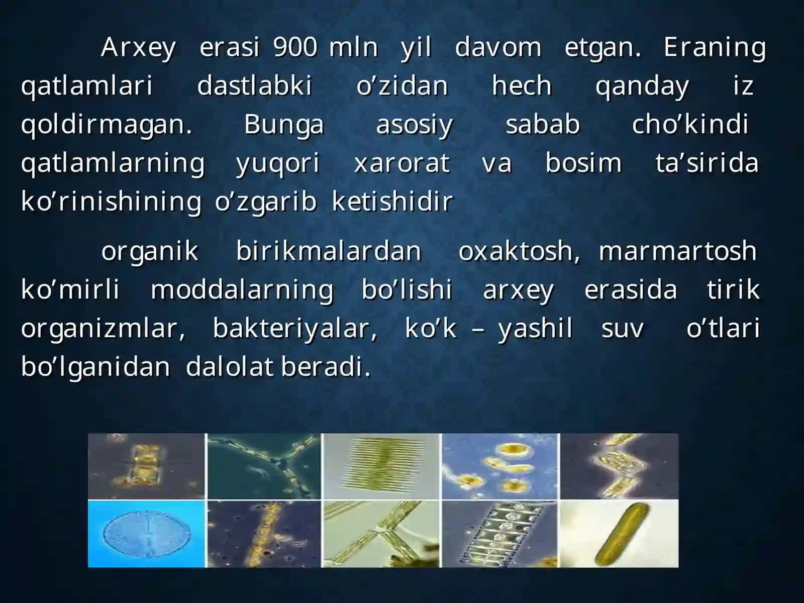 Yerda hayotning rivojlanishi. Kaynazoy erasi hayotni tuzilish darajalari 2