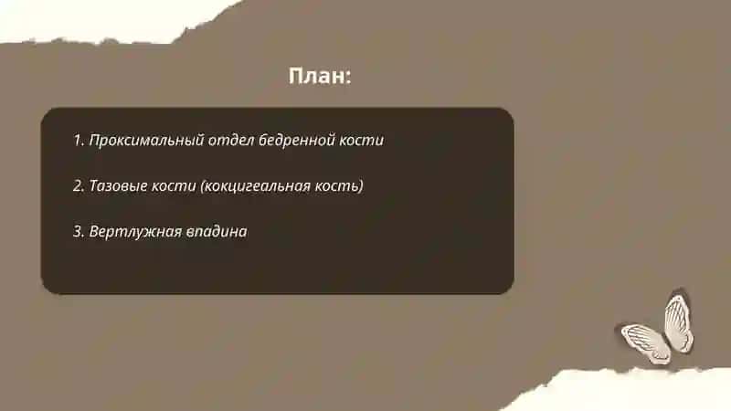 Кости пояса нижней конечности. 2