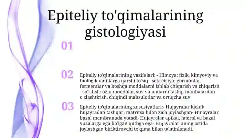 Turli Xil ToʻQimalar Epiteliy Hujayralari Xarakteristikasi 2