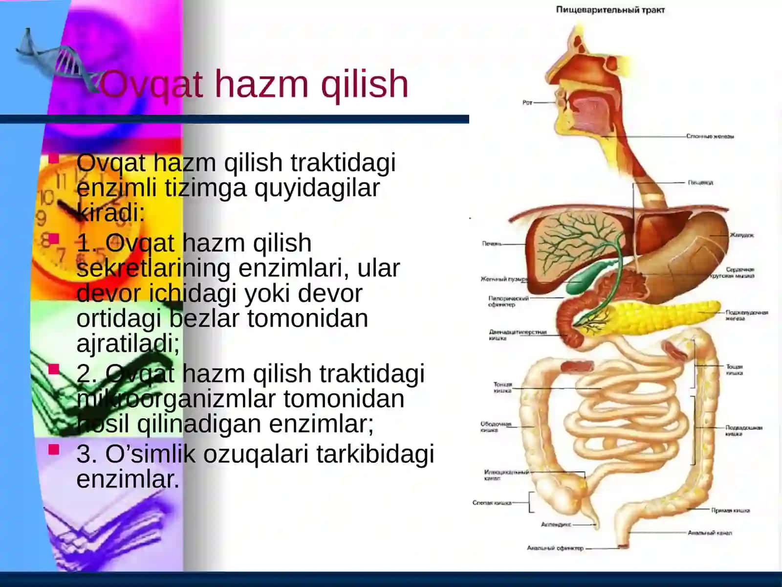 Ovqathazmqilish 2