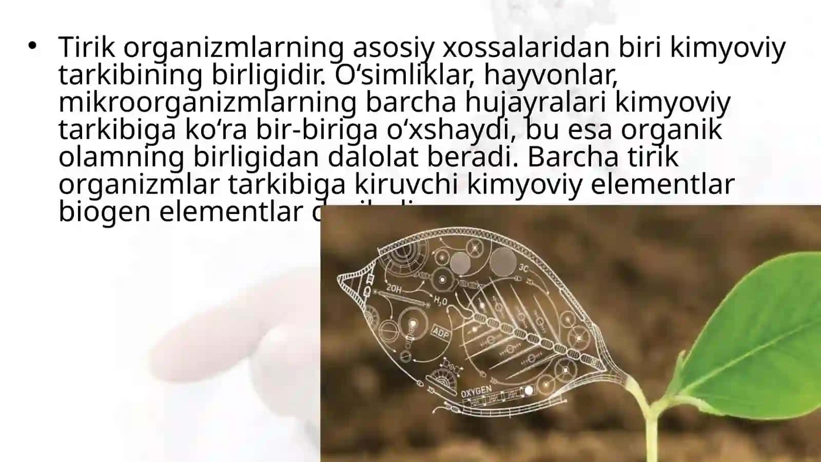DARS ISHLANMASI "Tirik Organizmlarning Kimyoviy Tarkibi va Uning Doimiyligi" 2