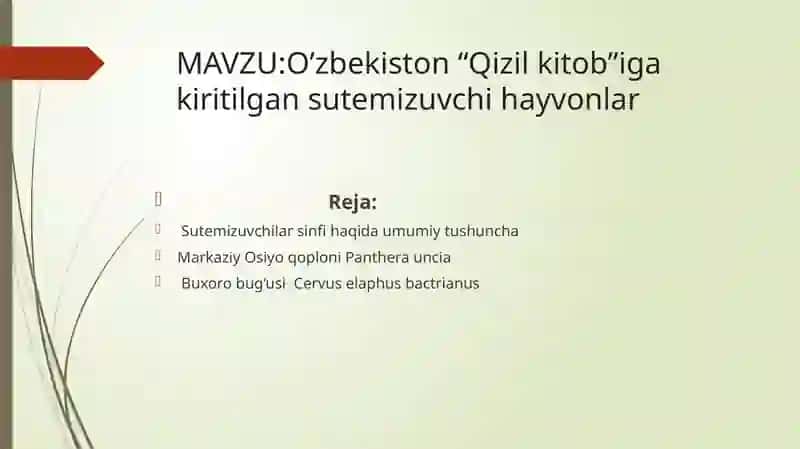 O’zbekiston “Qizilkitob”iga kirtilgan sutemizuvchi hayvonlar 2