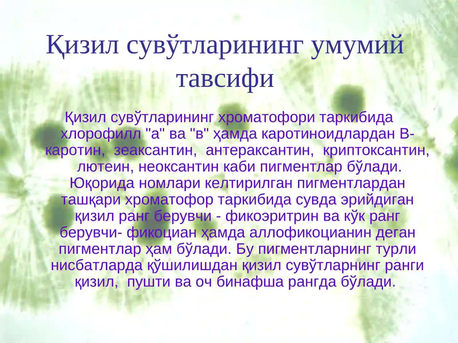 Қизил сувўтларининг умумий тавсифи 2