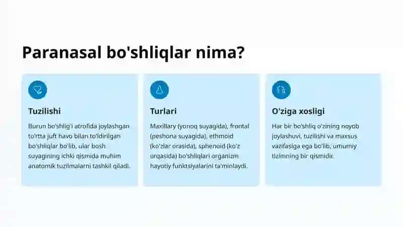 Bosh suyagining paranasal bo'shliqlari anatomiyasi 2