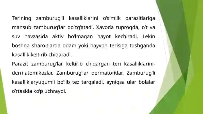 Terini Zamburugʻlikasalliklari 2