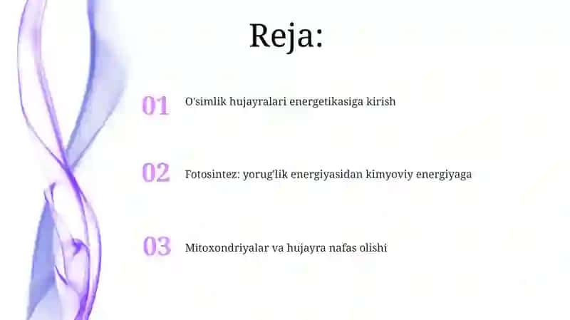 O'simlik hujayralari energetikasi 2