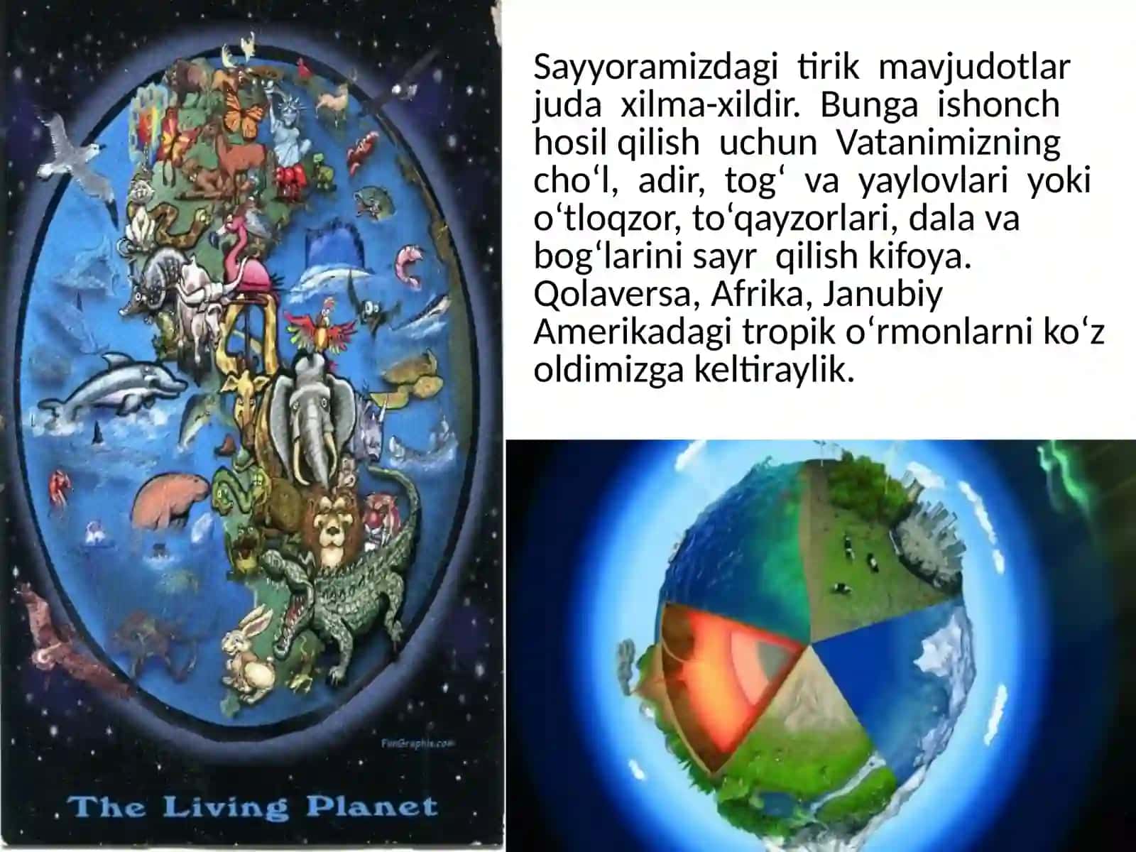 9-sinf Biologiya fanidan dars ishlanma. Tirik organizmlarning o'ziga xos xususiyatlari 2