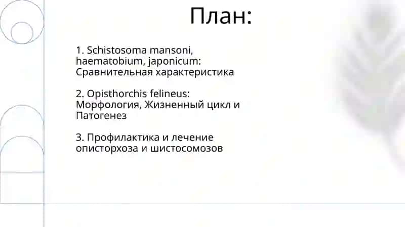 Opisthorchis felineus, Schistosoma mansoni, Schistosoma haematobium, Schistosoma japonicum 2