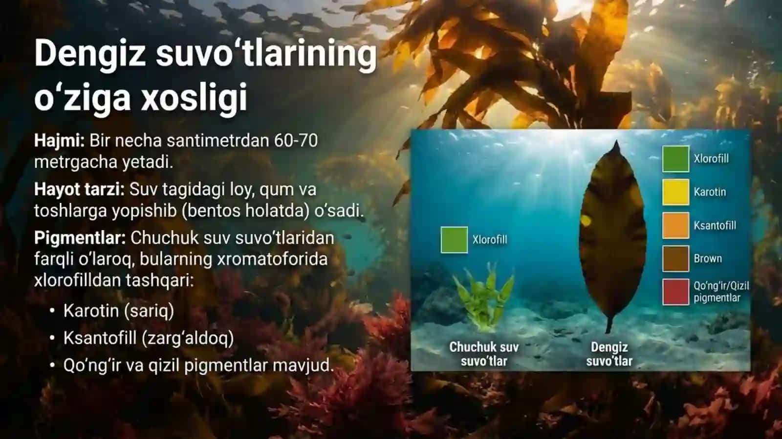 Qo'ng'ir va qizil suvo'tlar 2
