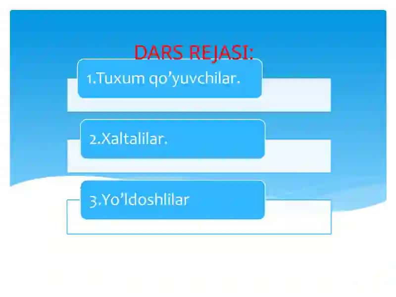 Sutemizuvchilarning xilma-xilligi: tuxum qo’yuvchilar, xaltalilar, yo’ldoshlilar 2