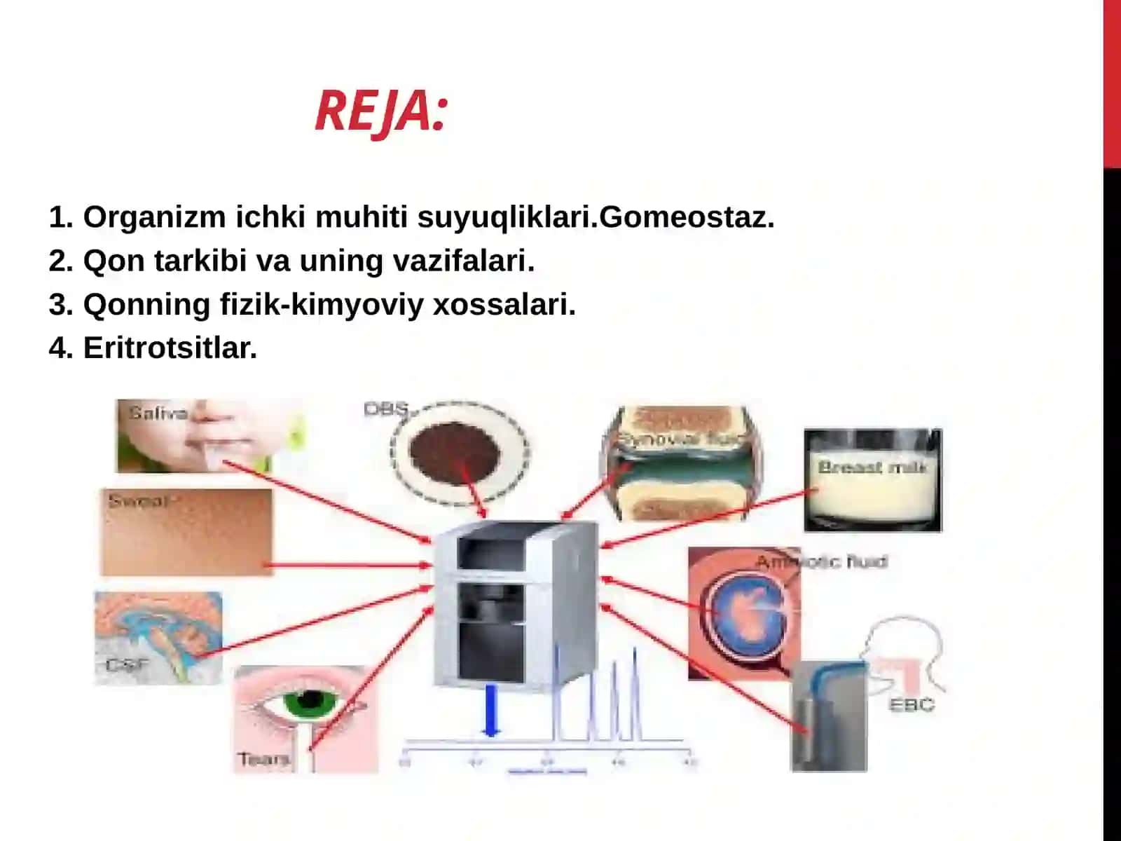 Gomeastaz. Organizmning biologik suquliklari.Qonning fizik-kimyoviy xossalari 2