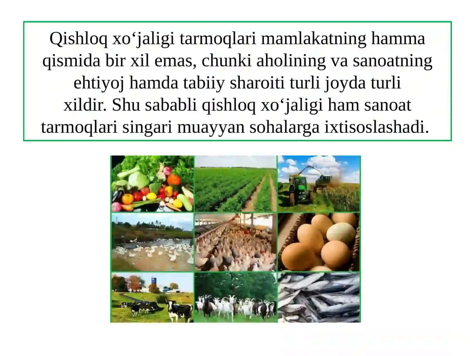 O‘ZBЕKISTОNDА QISHLОQ ХO‘JАLIGINING GЕОGRАFIK TIPLАRI 2