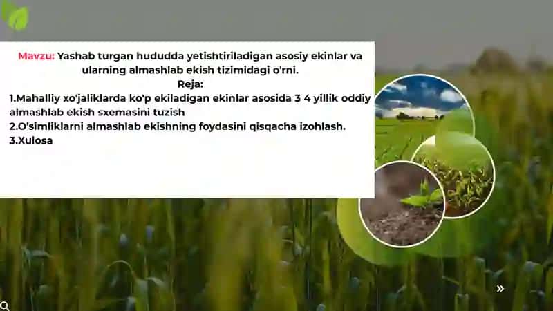 Yashab turgan hududda yetishtiriladigan asosiy ekinlar va ularning almashlab ekish tizimidagi o'rni. 2