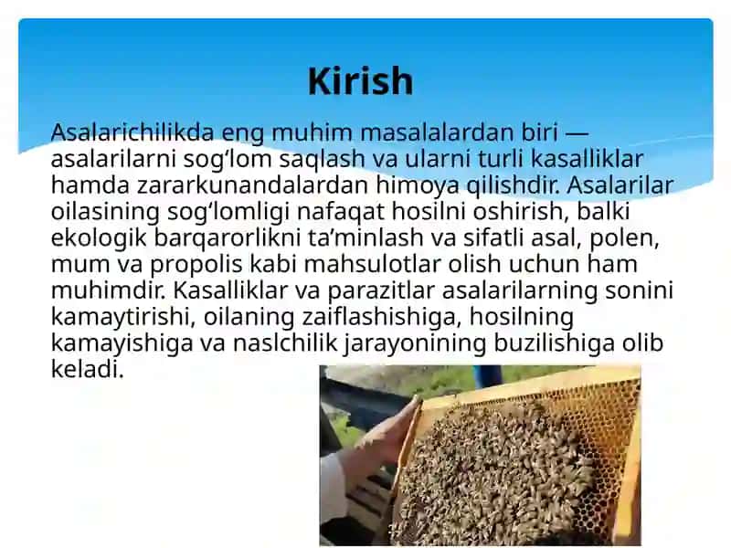 Asalarilarda uchraydigan kasalliklar va zararkunandalardan muhofaza qilish choralari 2