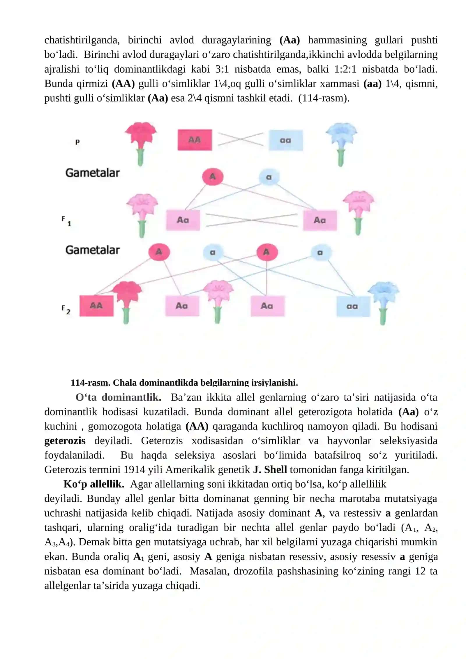 Genlarining o‘zaro va ko‘p tomonlama ta’sirida belgilarning irsiylanishi 2