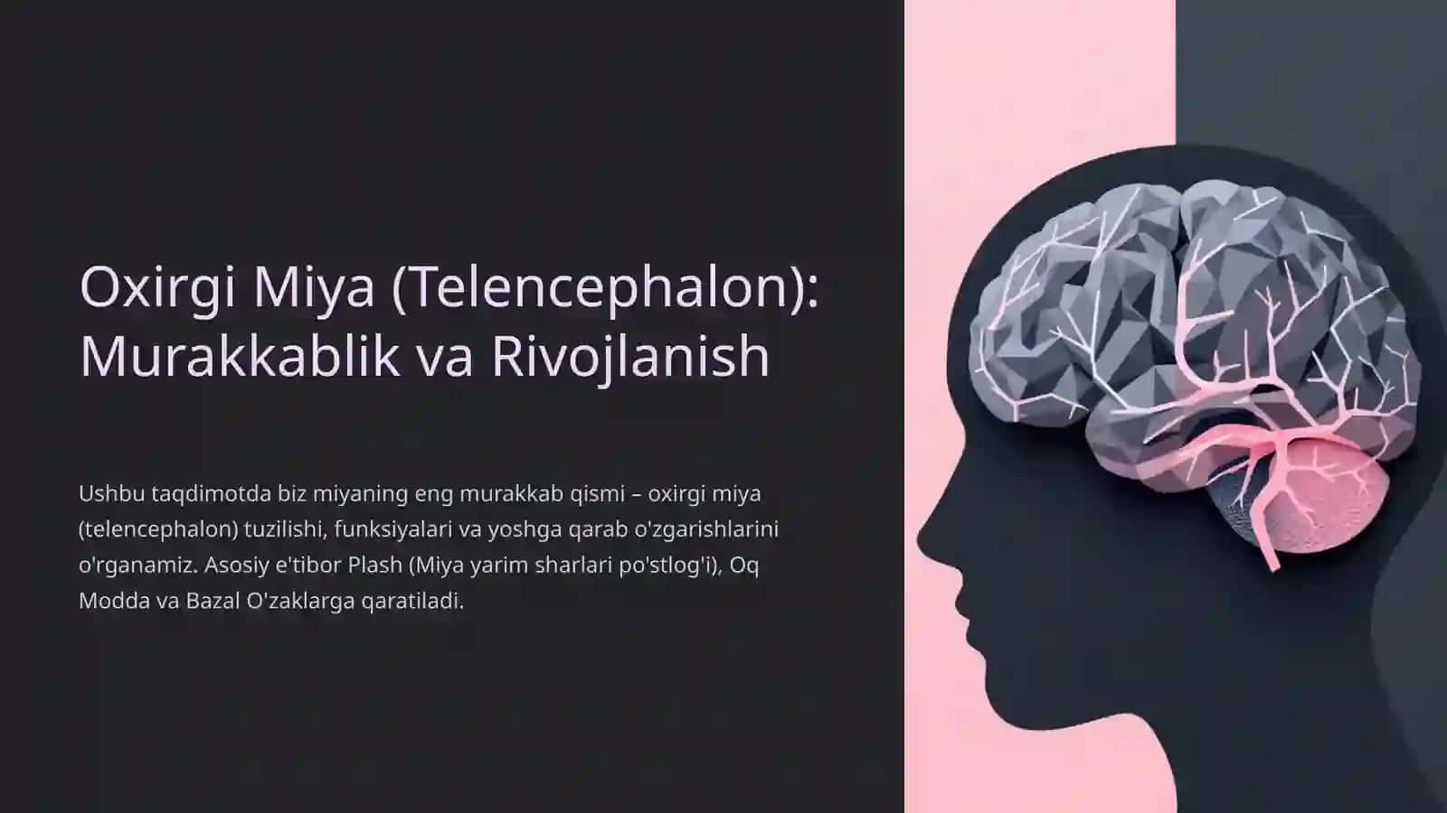 Oxirgi Miya (Telencephalon): Murakkablik va Rivojlanish 2