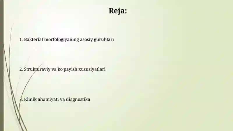 Bakterial morfologiya 2