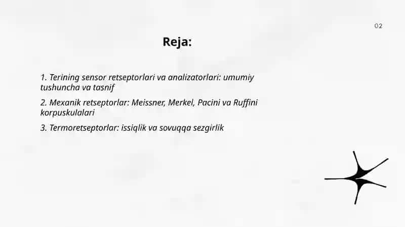 Terining sensor retseptorlari va analizatorlari 2