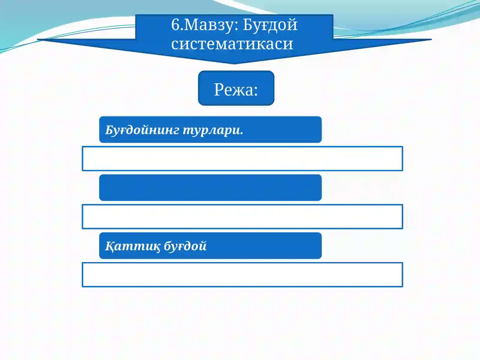 Буғдой систематикаси 2