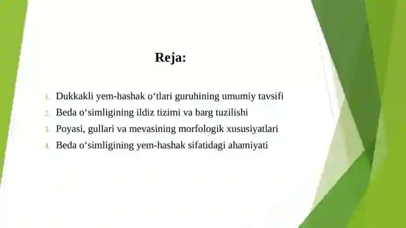 Dukkakli yem hashak o'tlar guruhi.Beda o'simligining umumiy marfalogik belgilari 2
