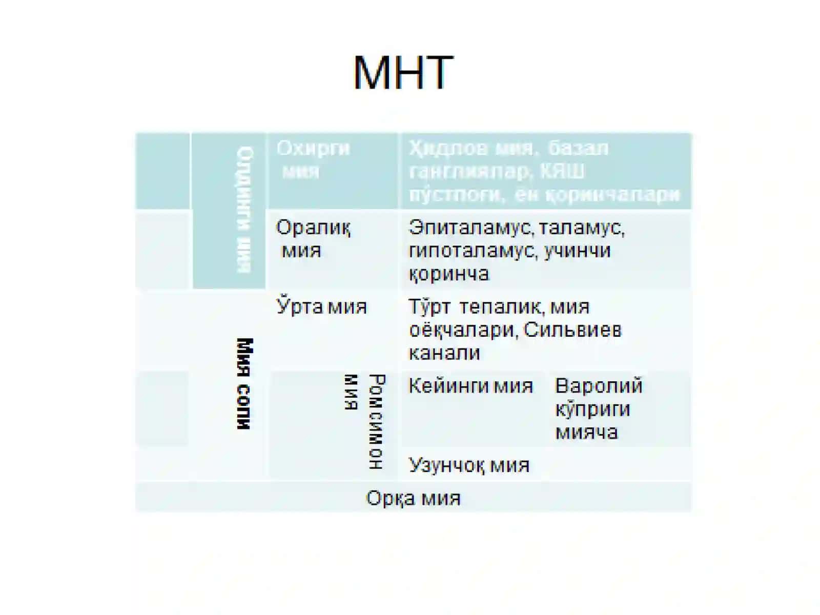 Марказий асаб тизими физиологияси – давоми (5- маъруза) 2