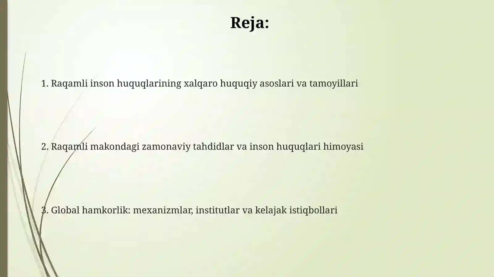 Raqamli inson huquqlarini himoya qilish daxalqarohamkorlik 2