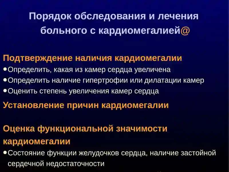 БОЛЬШИЕ СЕРДЦА 2