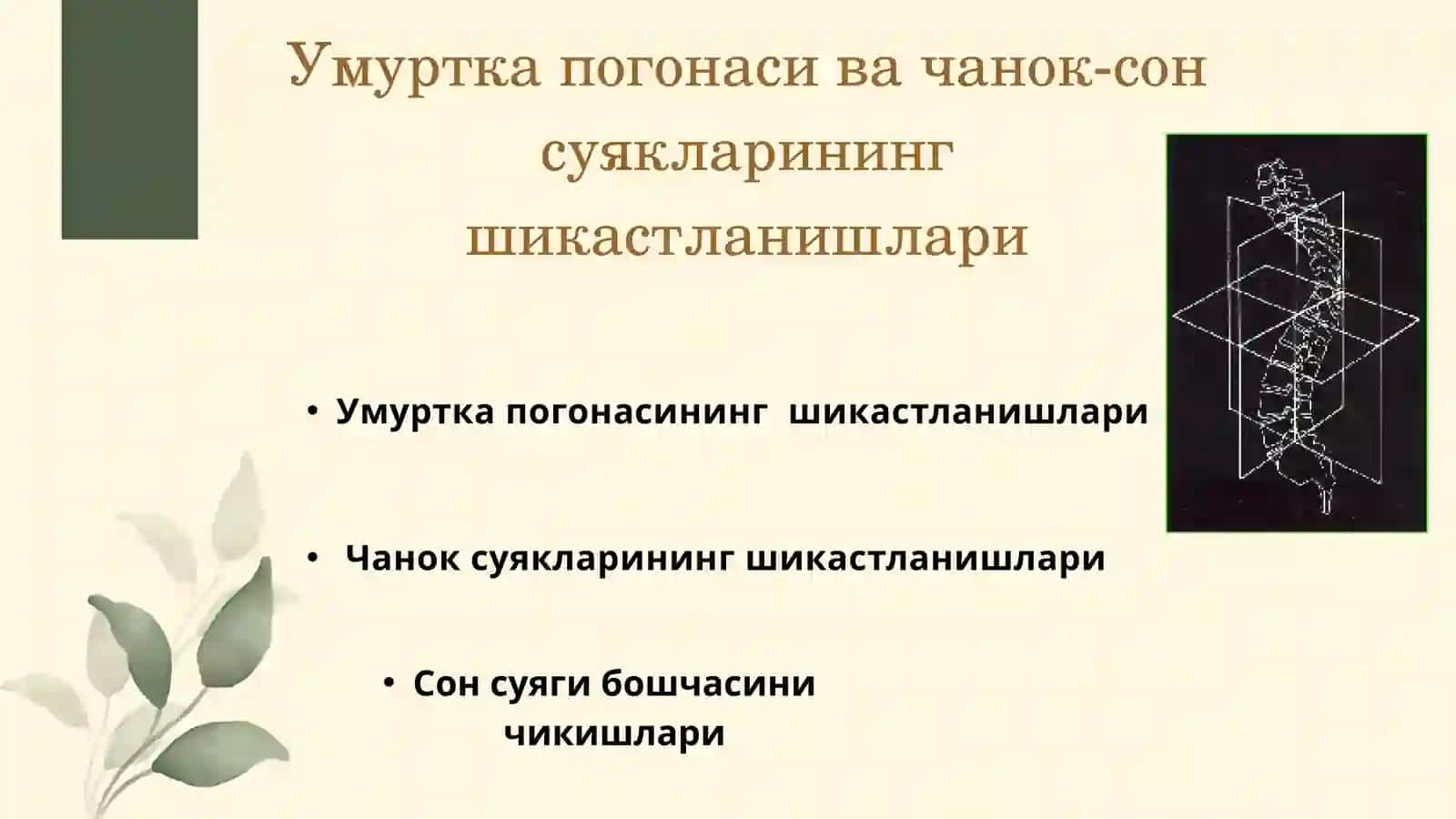 Умуртка погонаси 2