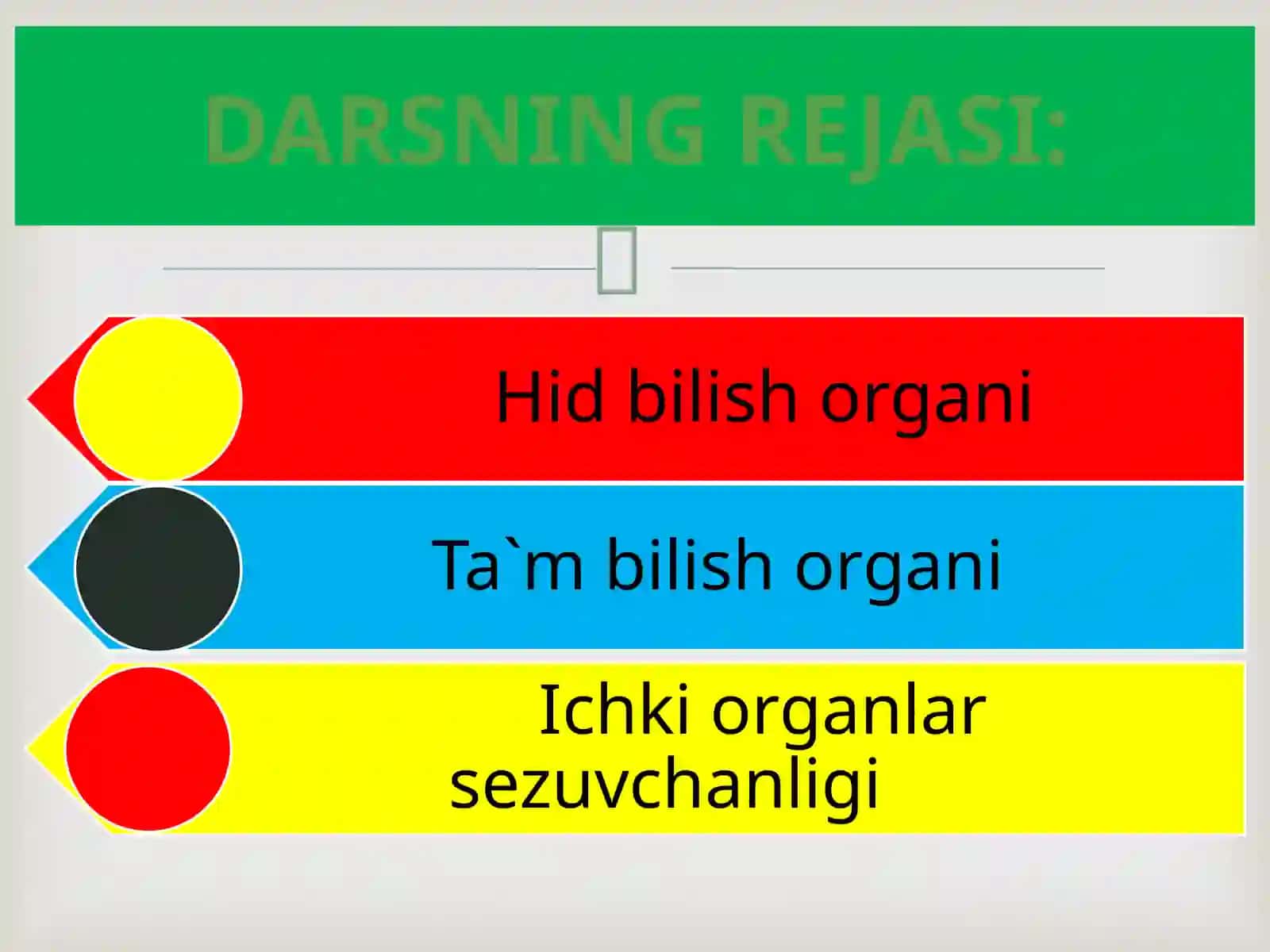 HID BILISH VA TA`M BILISH ORGANLARI 2