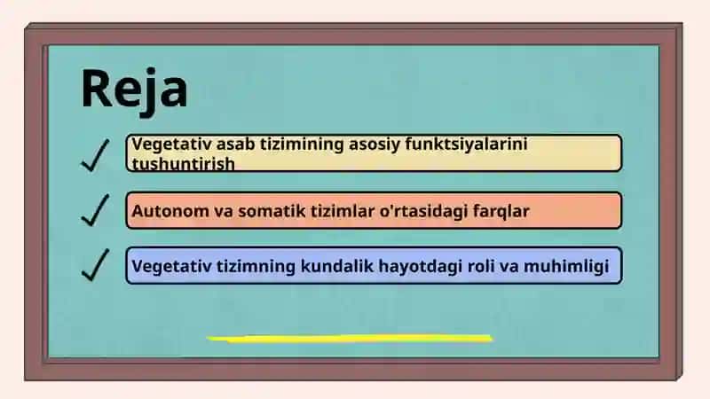 Vegetativ asab tizimining fiziologiyasi 2