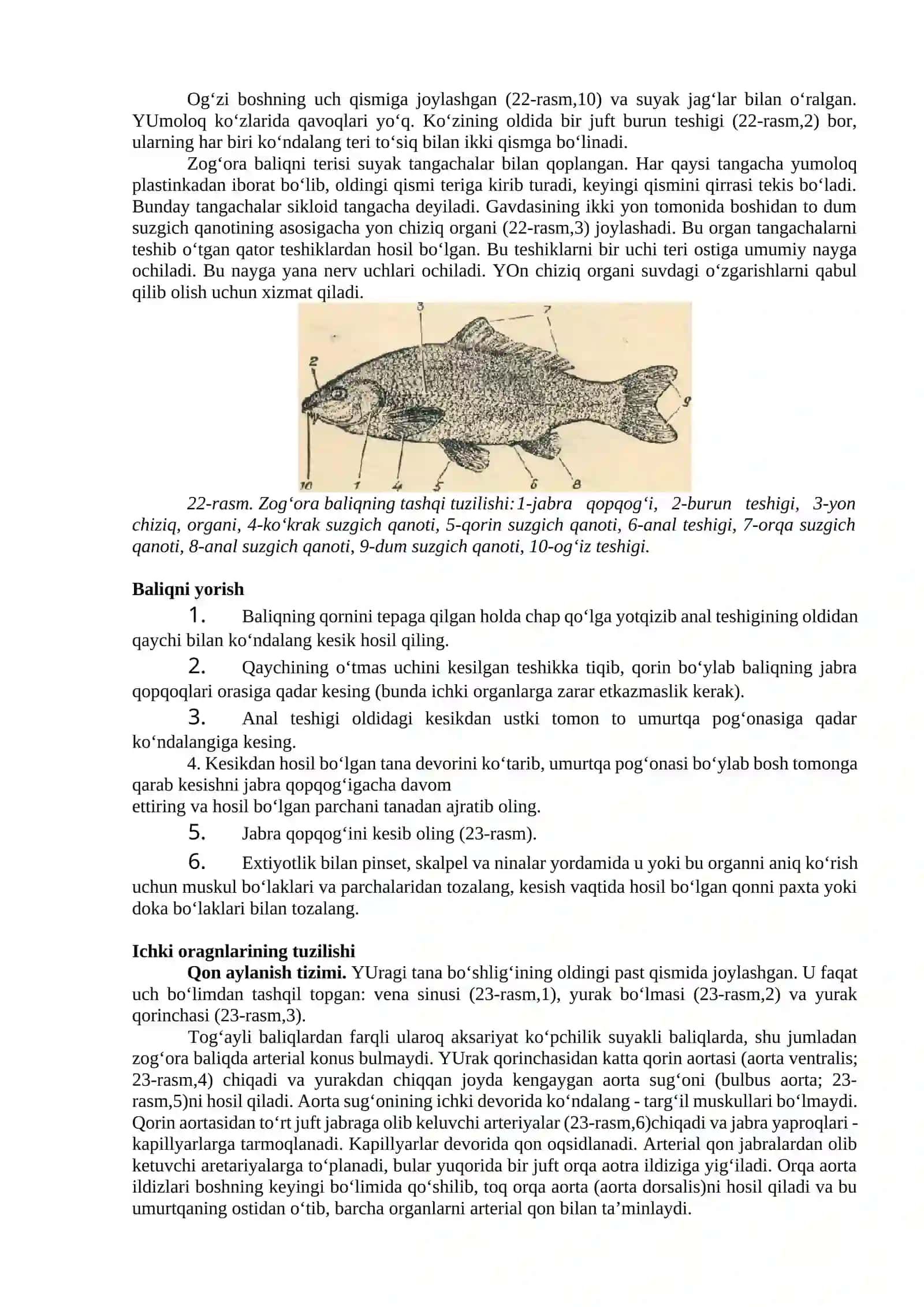 Zog’ara baliq-Cyprinus carpio ning tashqi va ichki tuzilishi. Sistematik o’rni 2