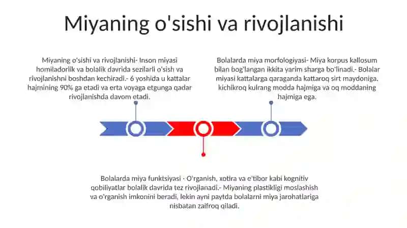 Bolalarda Bosh Miyaning Morfologik Va Funksional Xususiyatlari 2
