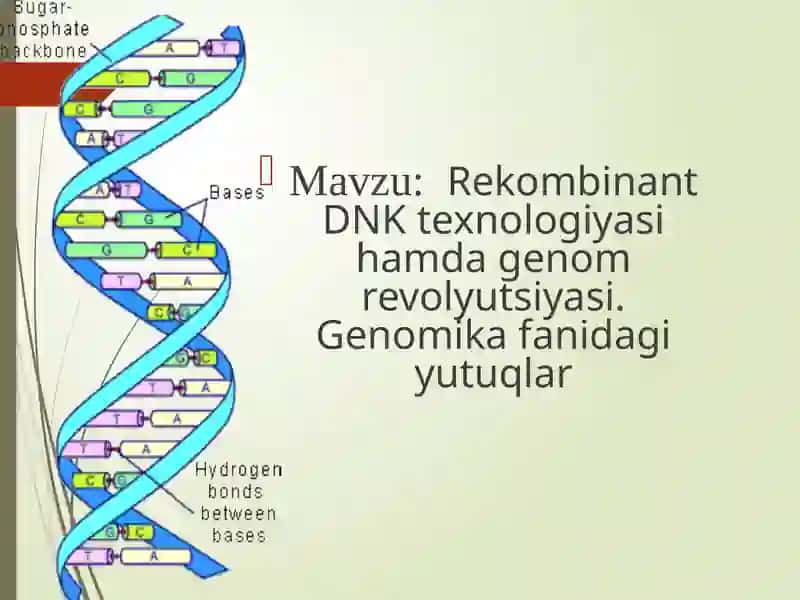 Biologiya talim yo'nalishi talabasining Genomika fanidan tayyorlagan taqdimoti 2