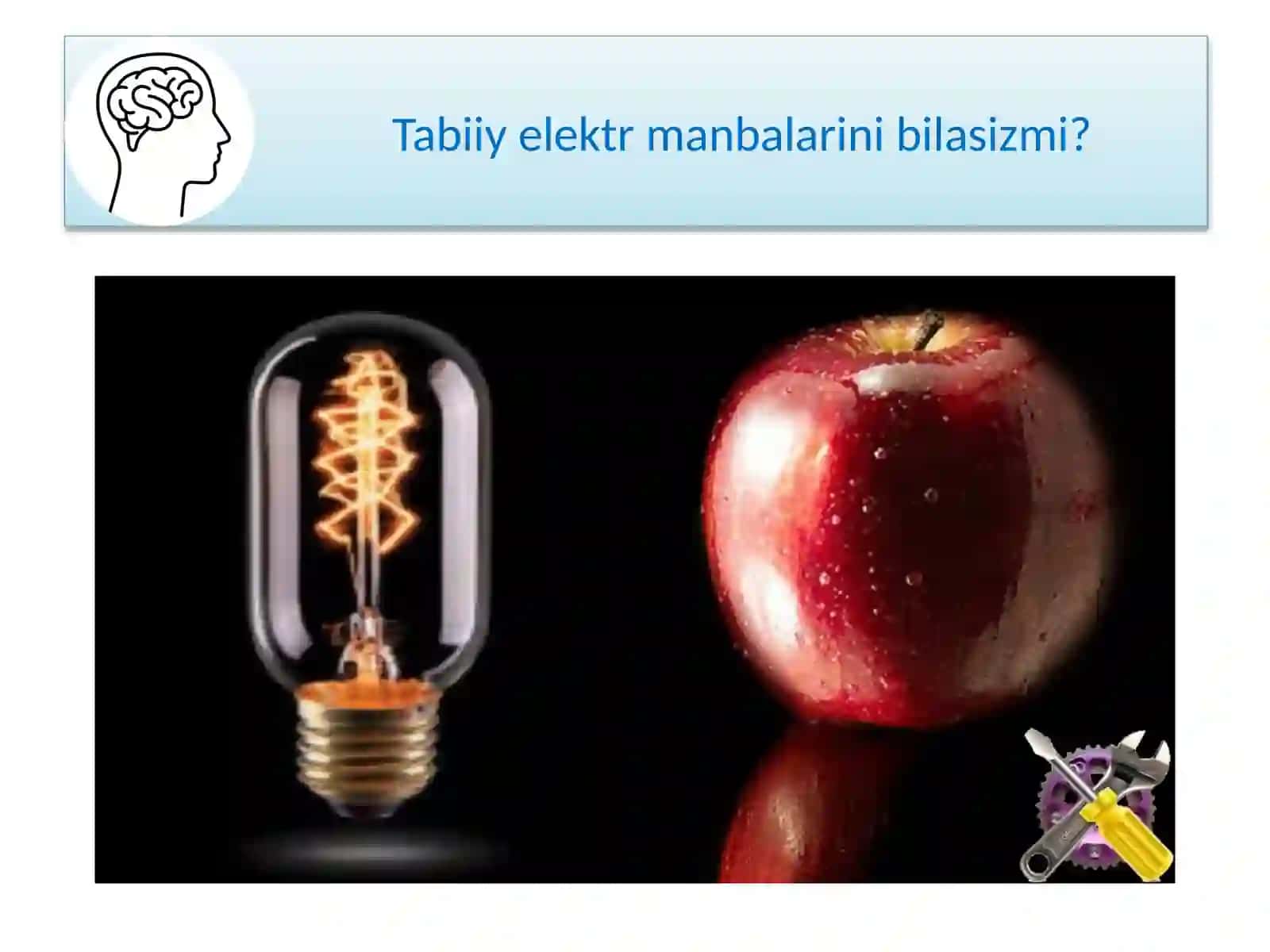 Mavzu.Meva va Sabzavotlardan Elektr Qilish 2