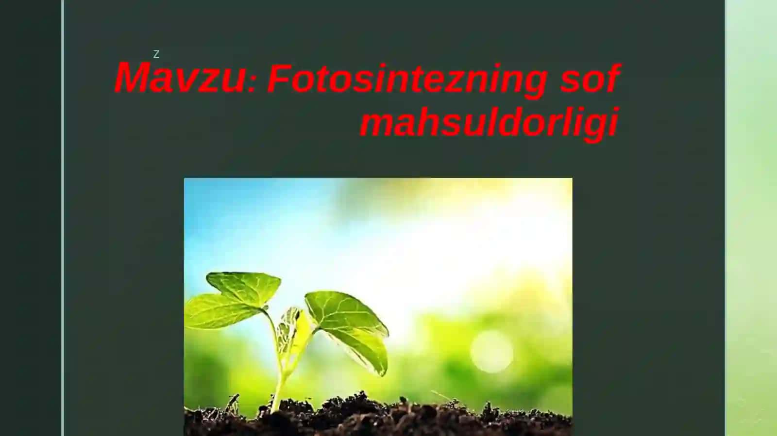 Fotosintezning sofmahsul dorligi 2