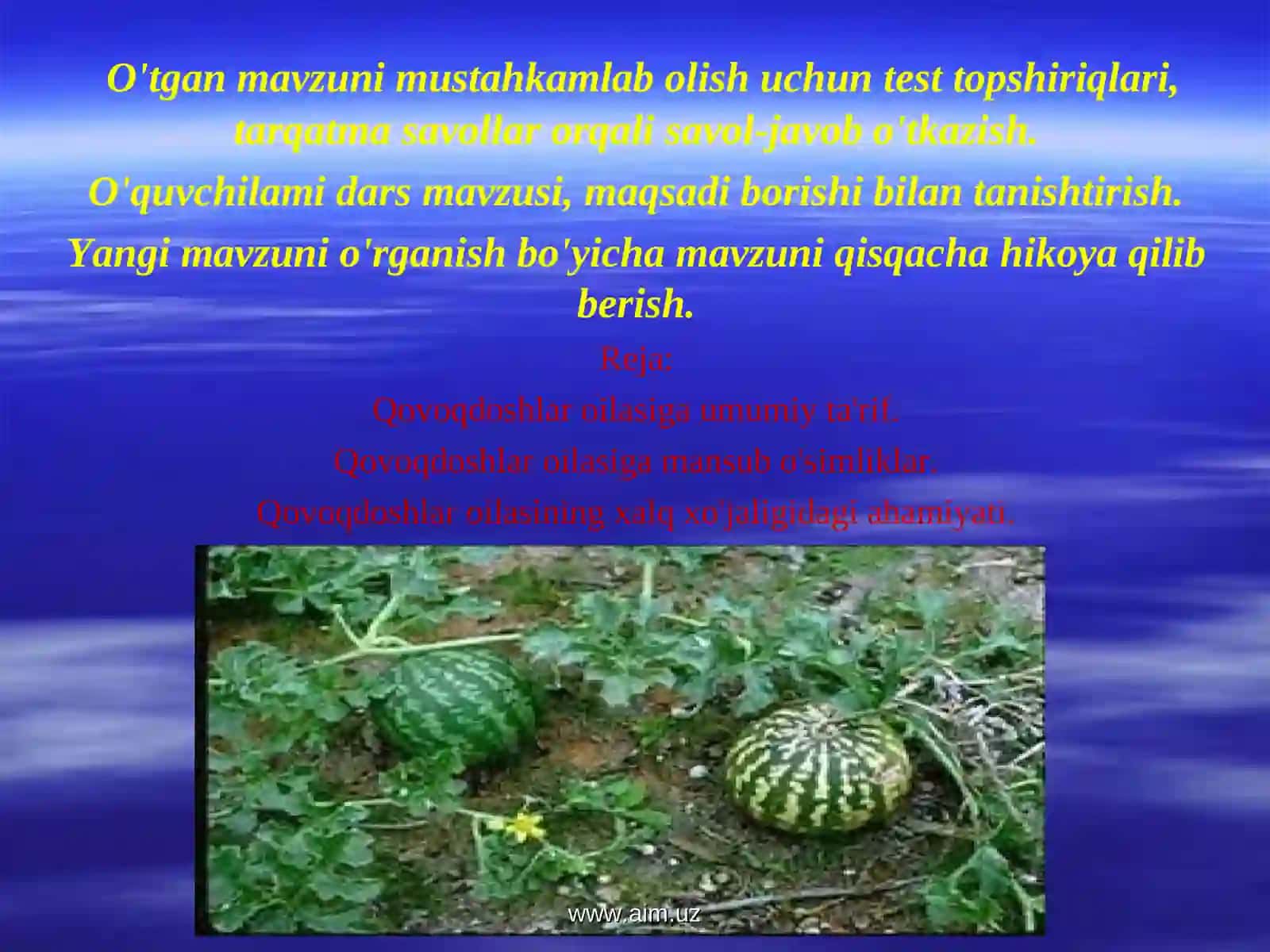 Qovoqdoshlar oilasi 2