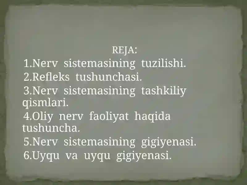 Nervsistemasining Tuzilishi 2
