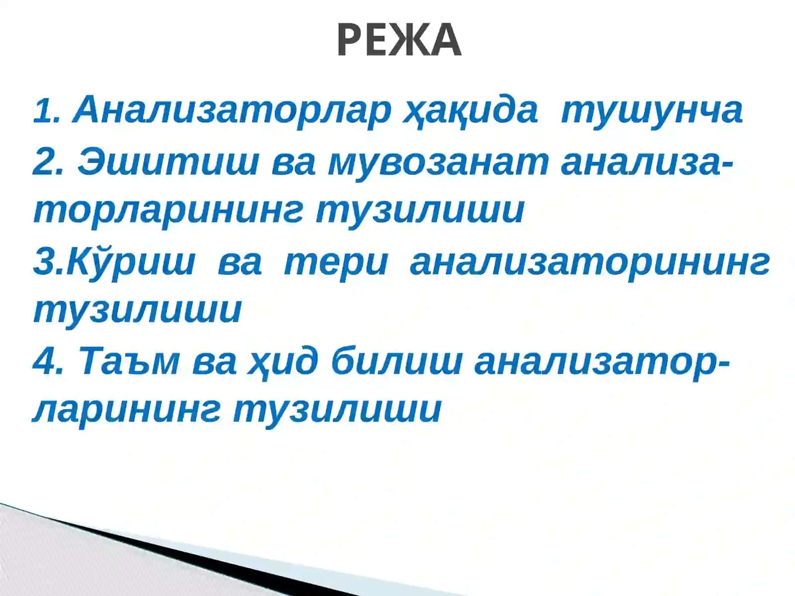 АНАЛИЗАТОРЛАРНИНГ ТУЗИЛИШИ ВА АҲАМИЯТИ 2