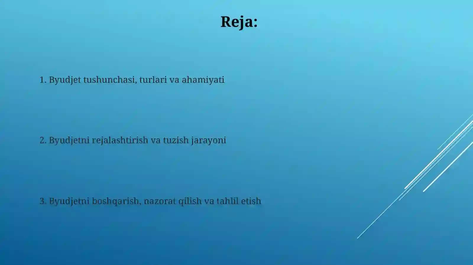 Byudjet tushunchasi, turlari va ahamiyati 2