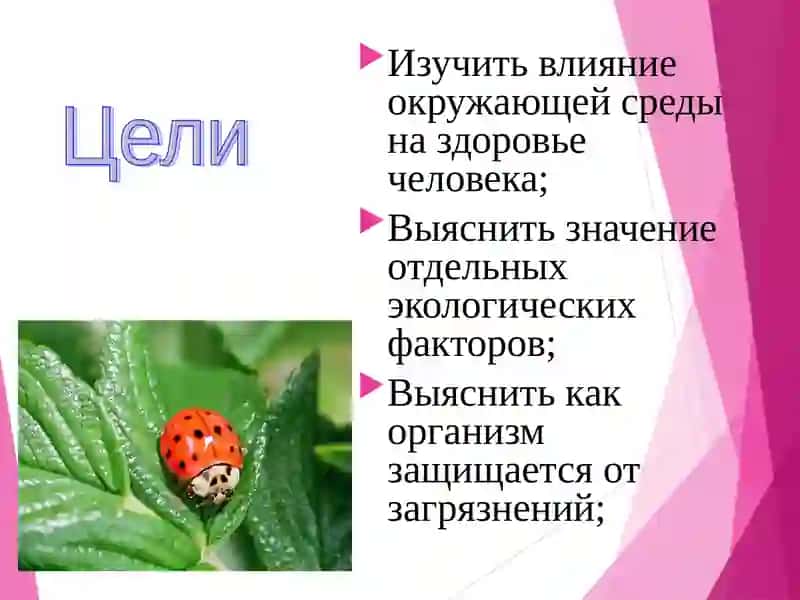 Факторы, влияюшие на здоровье человека 2