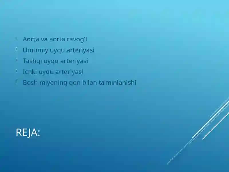 Aorta,aorta ravog’i.Umumiy,tashqi va ichki uyqu arteriyalari. 2