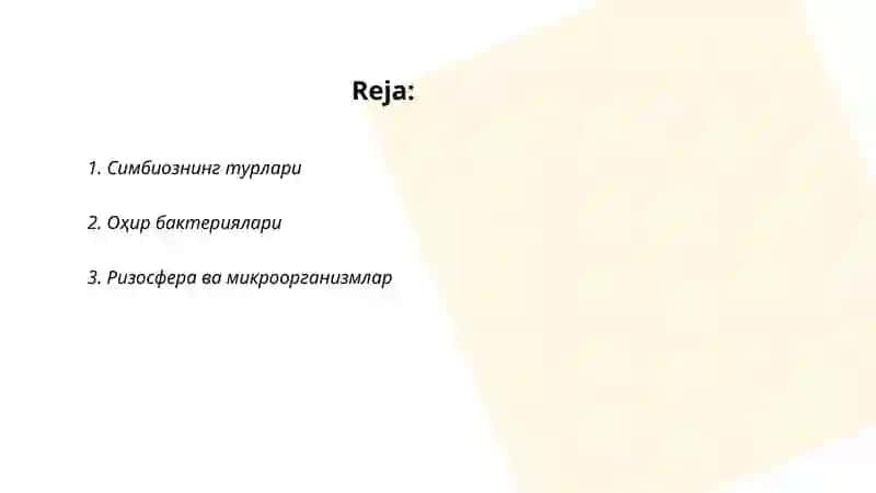 Микроорганизмларни ўсимликлар билан симбиоз муносабатлари 2