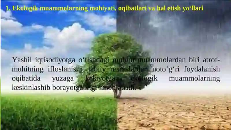 EKOLOGIK SIYOSAT VA UNI AMALGA OSHIRISHNING IQTISODIY MEXANIZMI 2