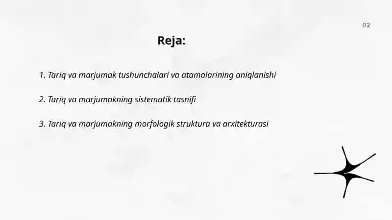 Tariq va marjumak sistematikasi, morfologiyasi 2