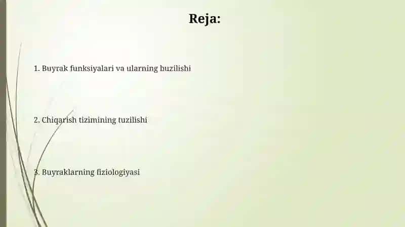 Ayiruv sistemasi. Buyraklar fiziologiyasi 2