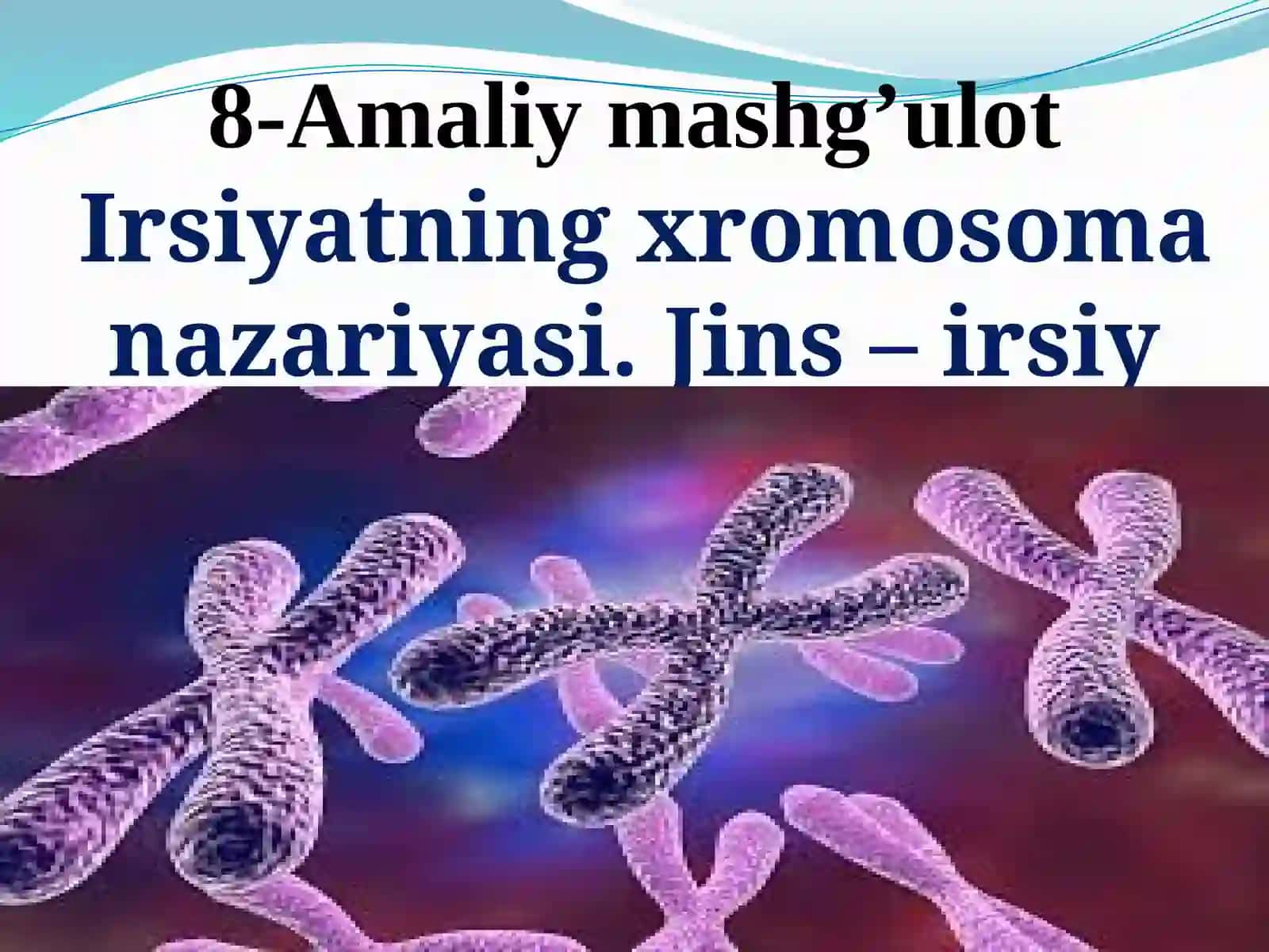 Irsiyatning xromosoma nazariyasi. Jins – irsiy belgi 2