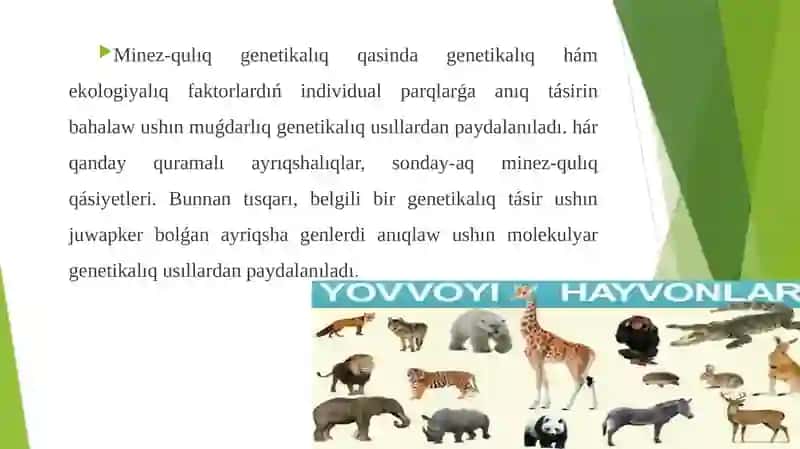 Minez-qulıq genetika situwrisında túsinik 2