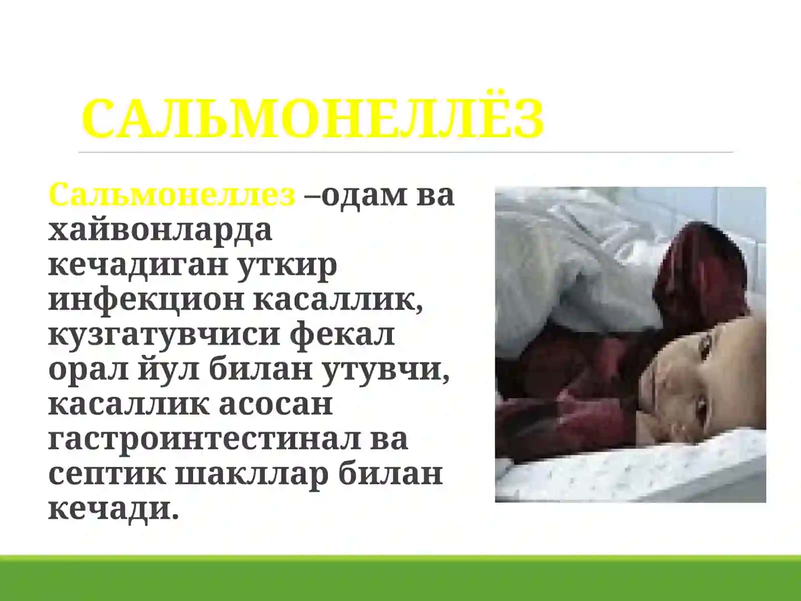 MIKROBIOLOGIYA FANIDAN TAQDIMOT 2
