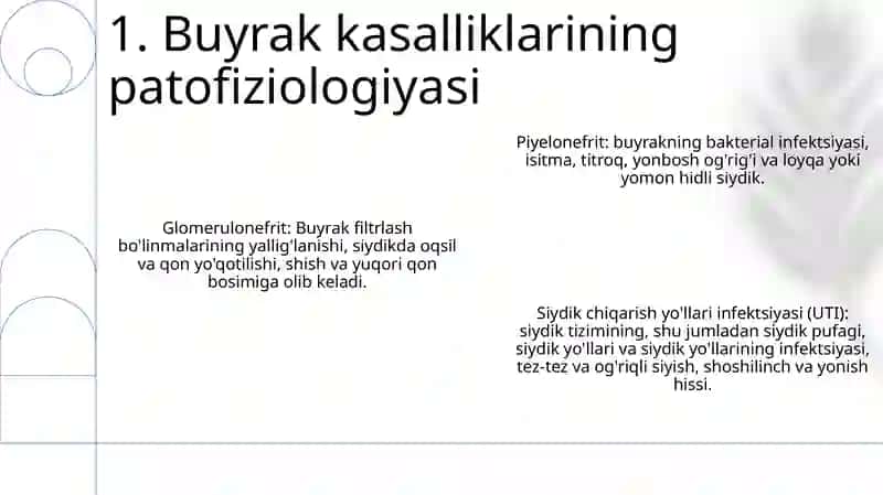 Buyrak Biokimyosi Buyrak Kasalliklari 2
